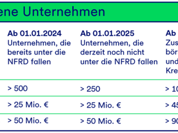 Berichtspflichtige Unternehmen Tabelle